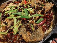 -老板恋上鱼(高新万达店)