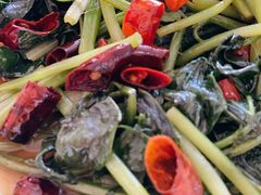 炝炒红薯苗-牛八宝桂林米粉(八里庄店)