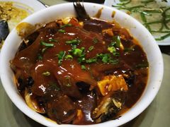 昂刺鱼烧豆腐-吉事利茶餐厅