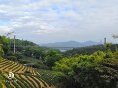 -东部华侨城