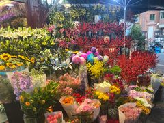 -曲阳花鸟市场(曲阳路店)
