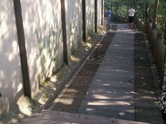 -上海佘山国家森林公园西佘山园