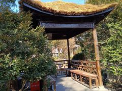 -上海醉白池公园