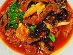 -陈麻婆豆腐总店