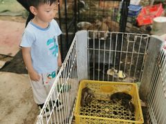 -马陆小张葡萄园农家乐