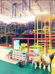 -爱丽丝奇幻乐园