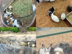 -正佳雨林生态植物园