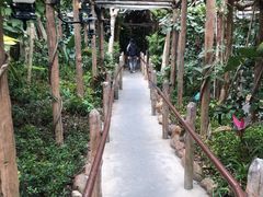 -鹦鹉过山车