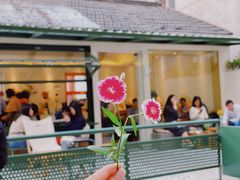 -稀物集咖啡(徽州大道店)