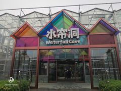 -南宫五洲植物乐园