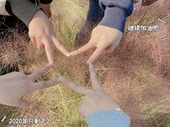 -映月湖中央公园