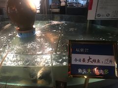 -坛宗剁椒鱼头(河西王府井店)