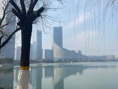 -天鹅湖体育公园