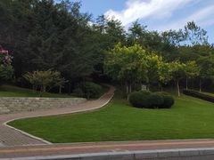 -棒棰岛宾馆景区