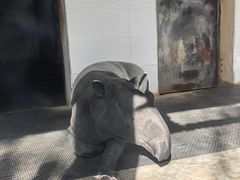 -合肥野生动物园
