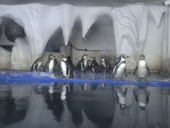 -太平洋海底世界