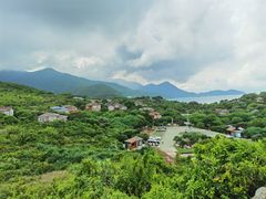 -杨梅坑
