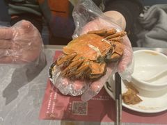 -一绪に寿喜烧(虹悦城店)