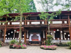 -青城甲(青城山店)