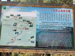 -苏木山森林公园