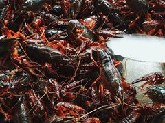 -众彩物流水产市场