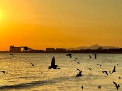 -老虎石海上公园