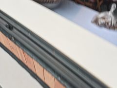 -邓氏兔头