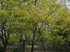 -兰溪青年公园