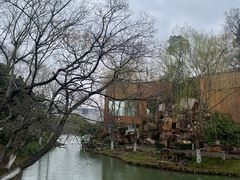-青枫公园