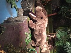 泰迪熊博物馆-济州岛泰迪熊博物馆