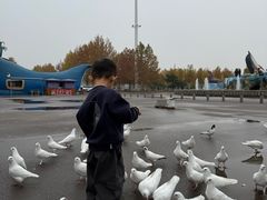 -泉城欧乐堡海洋极地世界