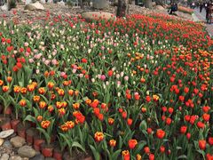 -南通洲际绿博园