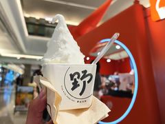 -野人先生现做冰淇淋(北京王府井东方新天地店)