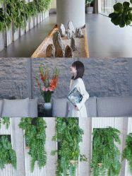 -VELEE·SPA高定疗愈会所