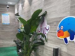 -小蓝鲸游泳培训基地(石景山店)