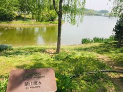 -东郊湿地公园