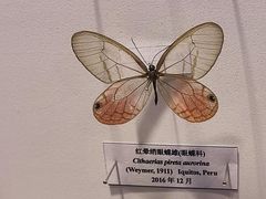 -吉林省自然博物馆