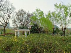 -郑州植物园