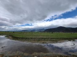 -纳帕海依拉草原