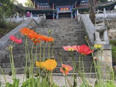 -黑龙潭公园