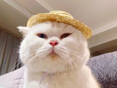 -泰顺江南春面馆