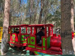 -长白岛森林公园