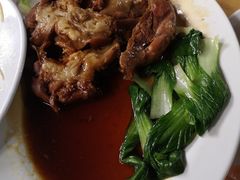 -绿光森林餐厅