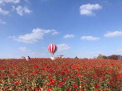 -歌斐颂巧克力小镇