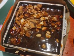 -三强鸽子(中原路店)