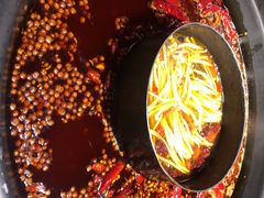 鸳鸯锅底-蜀大侠火锅(寰球文化地标·总府店)