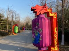 -燕郊植物园