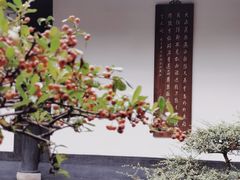-成都杜甫草堂博物馆