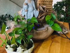 -茶油香闽南菜·花园餐厅(前埔店)