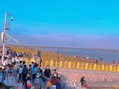 -南汇嘴观海公园